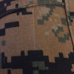 Meet your Posher, Chandler